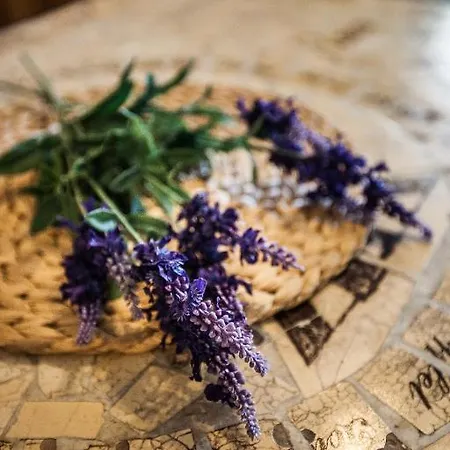 Anna Holiday home Siofok