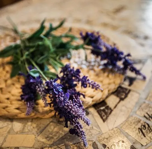 Anna 別荘 シオーフォク